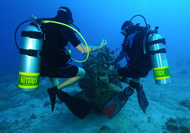 Marina Divers 