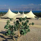 Ein Gedi