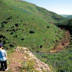 The Galilee