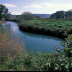 Taninim Nature Reserve