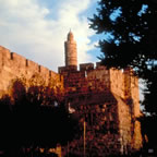 Museo Torre de David