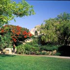 Ein Gedi - Dulce y Salado