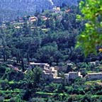 Naturaleza y Agricultura Ancestral en las Montañas de Judea