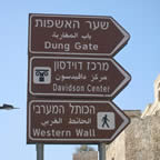 Israel Volar y Conducir