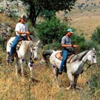 Atracciones en el Campo