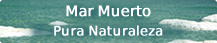 Mar Muerto Pura Naturaleza